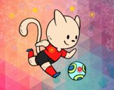 Gato jugando a fútbol