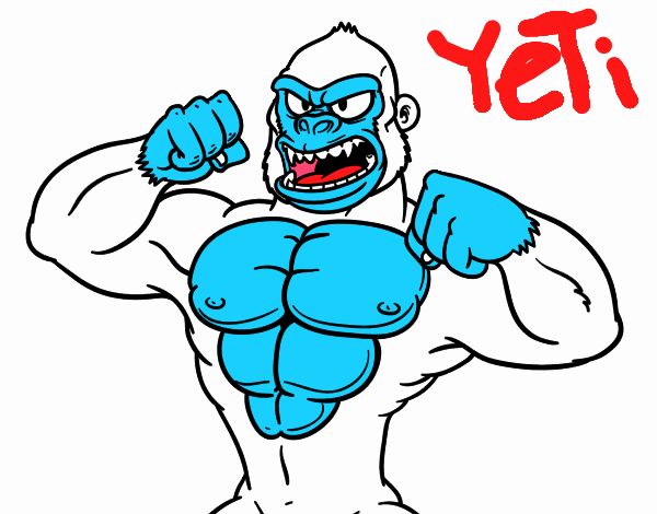 Yeti 2