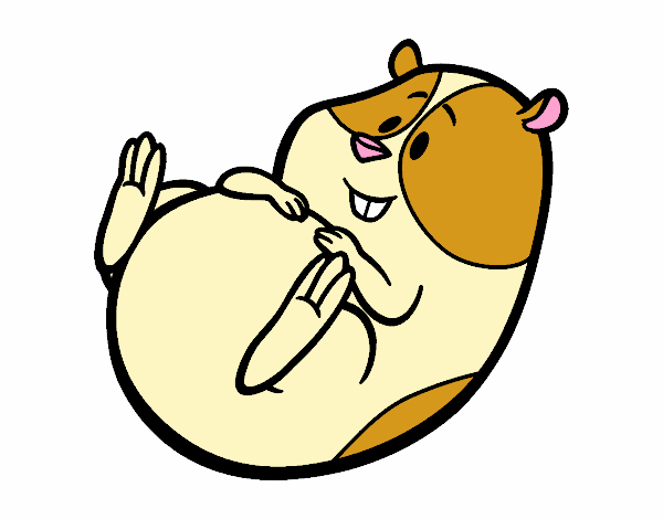 Dibujo de hamster pintado por en  el día 10-04-20 a las  02:51:42. Imprime, pinta o colorea tus propios dibujos!