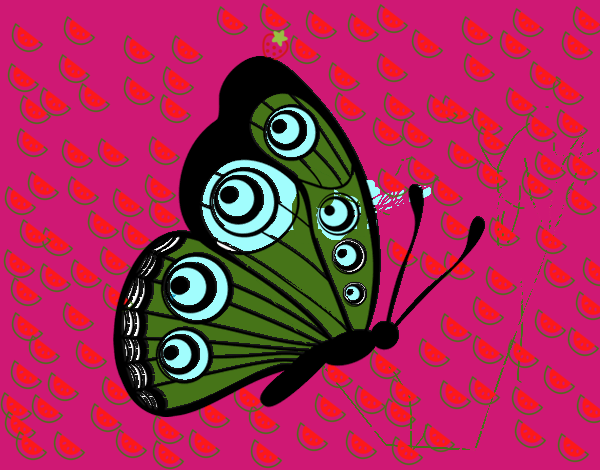 mariposa 