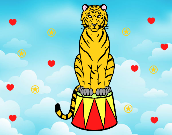 Tigre de circo