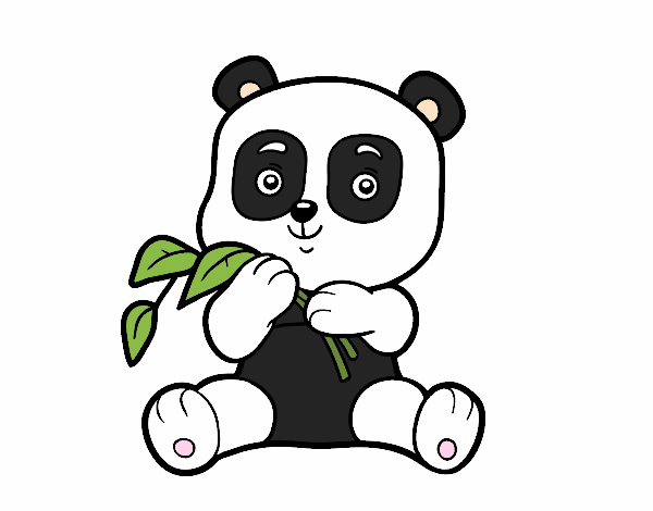 OSO  PANDA