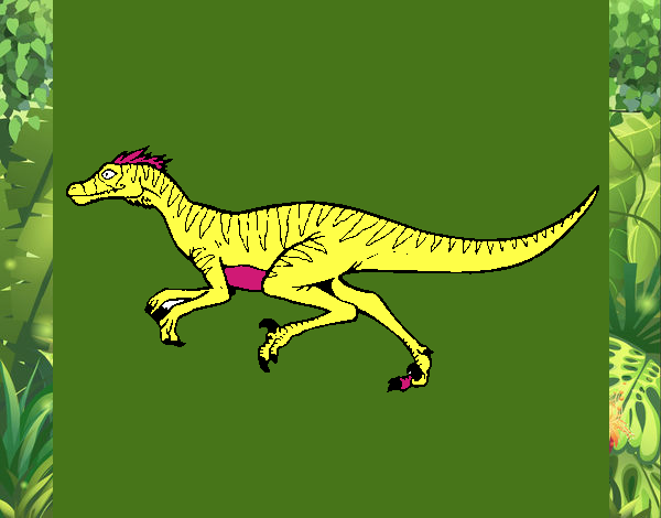 Velociraptor