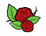 Dos rosas