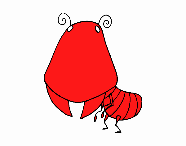 hormiga roja 