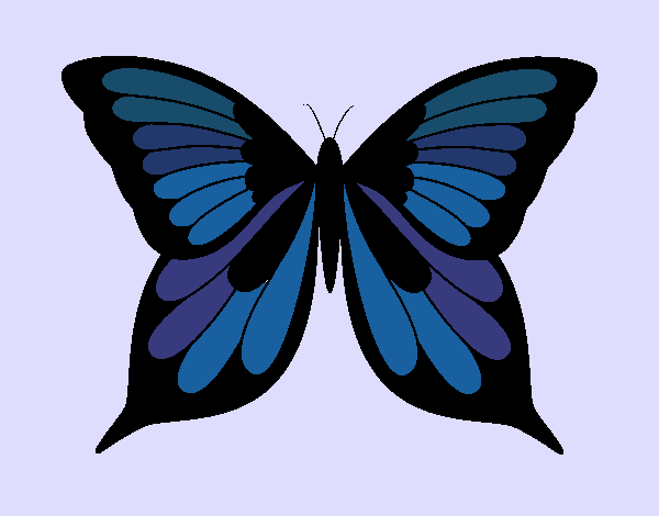 Mariposa 8