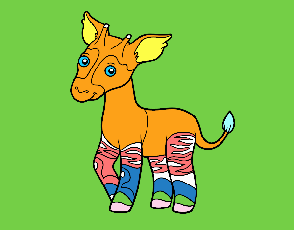 Okapi