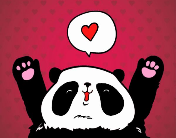 Panda enamorado