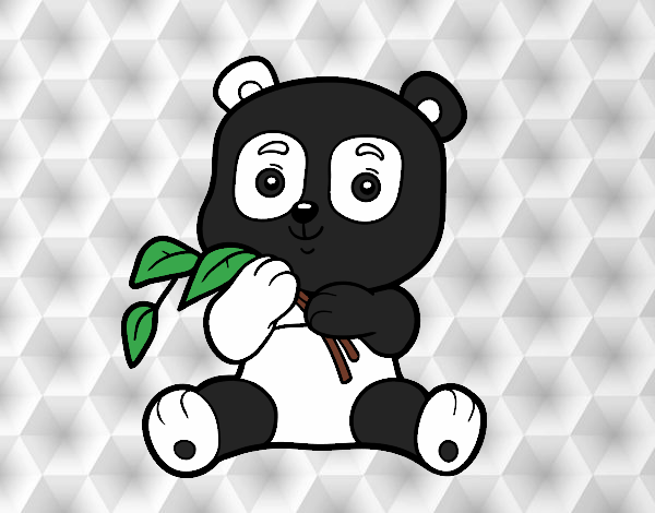 Un oso panda