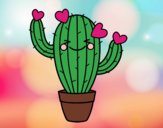 Cactus corazón