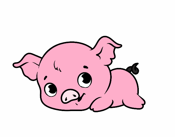 Cerdito bebé