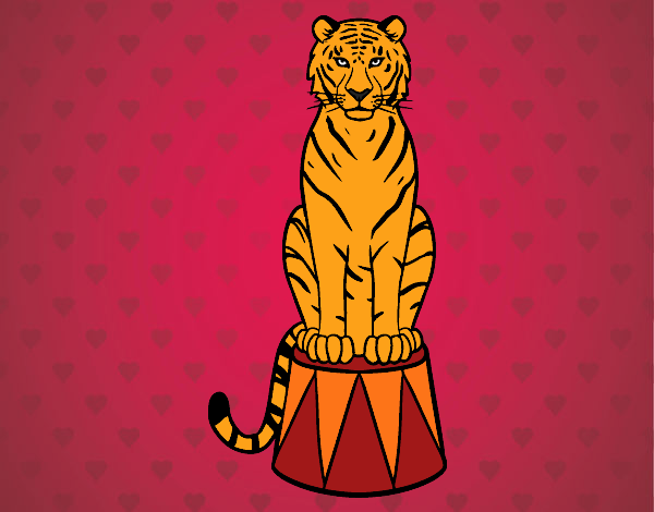 Tigre de circo