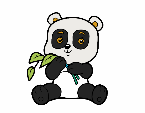 panda