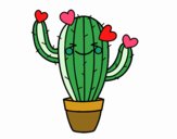 Cactus corazón