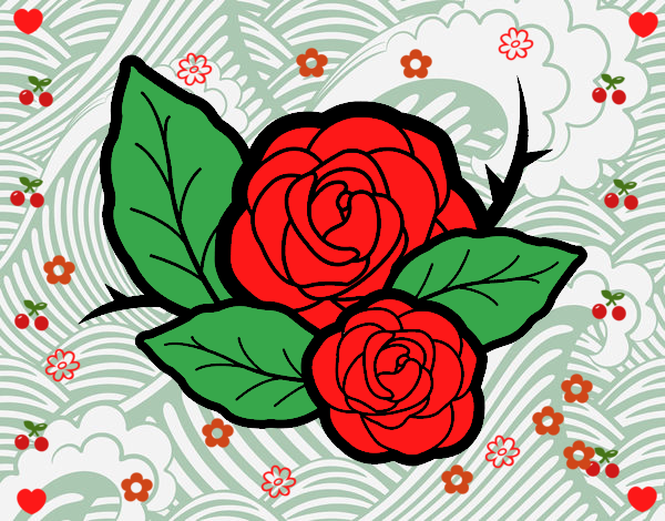 Dos rosas