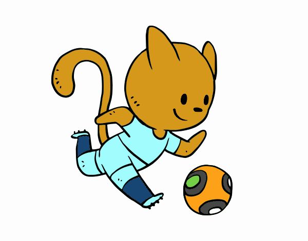 Gato jugando a fútbol