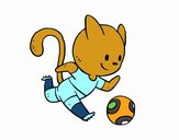 Gato jugando a fútbol