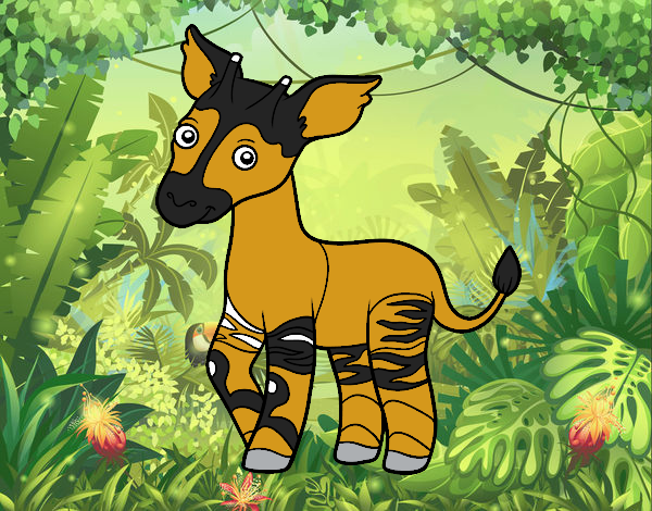 Okapi