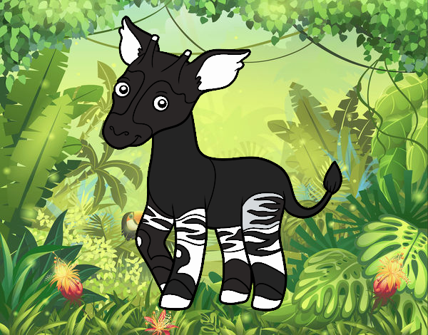 Okapi