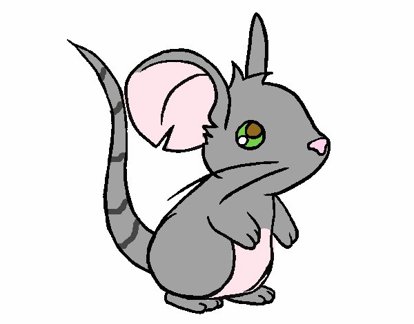 Ratoncito