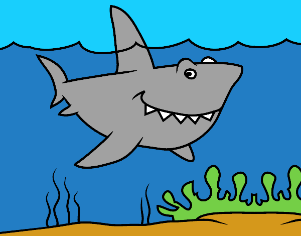 Download Dibujo de BaBy shark Manuel FM pintado por en Dibujos.net ...