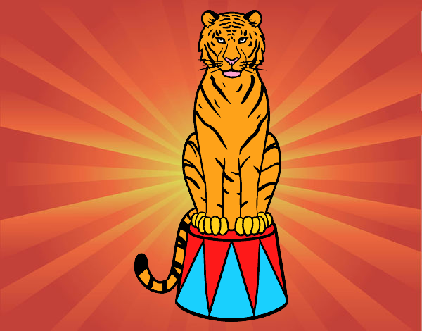 Tigre de circo