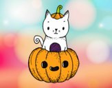 Un gatito de Halloween