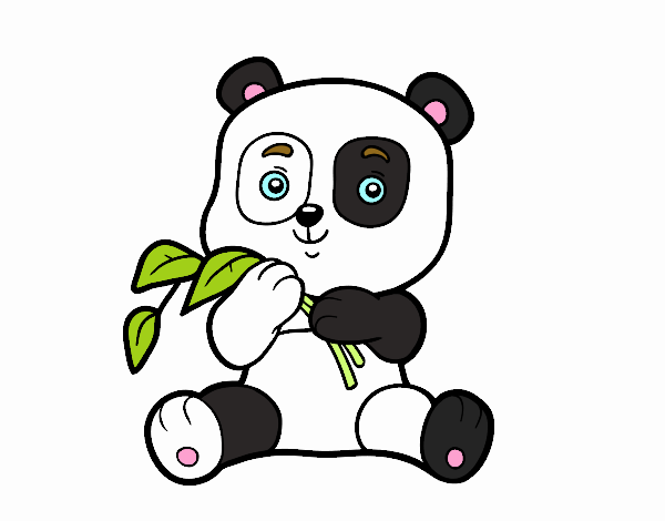 Un oso panda