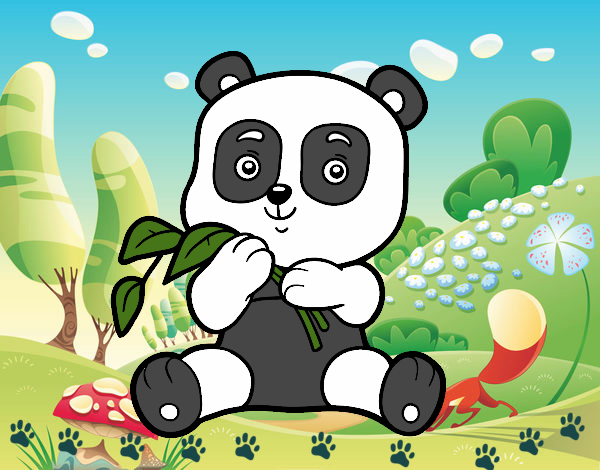 Un oso panda