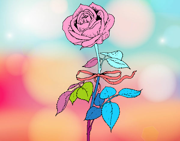 Una rosa