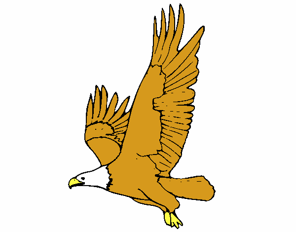 aguila 