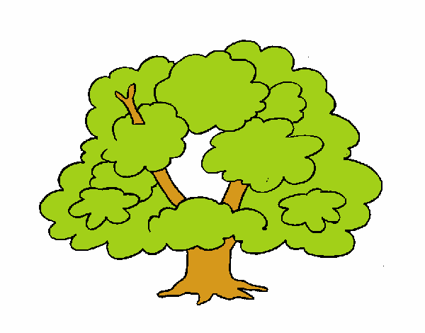 Árbol