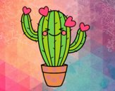 Cactus corazón