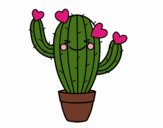 Cactus corazón