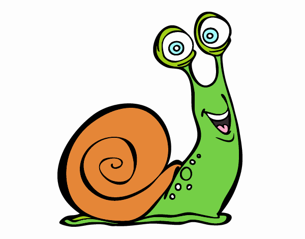 Caracol feliz