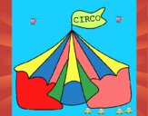 Circo