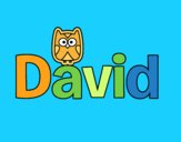 David