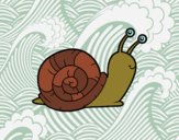 El caracol