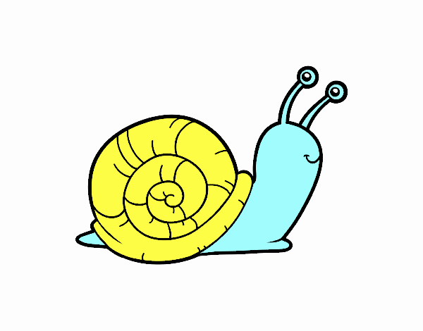 El caracol