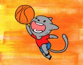 Gato jugando a baloncesto