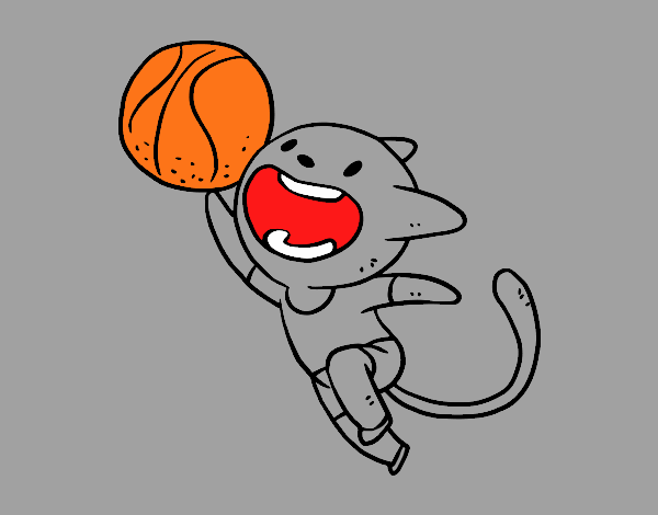 Gato jugando a baloncesto