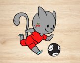 Gato jugando a fútbol