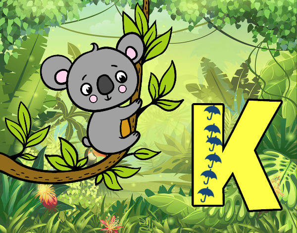 K de Koala