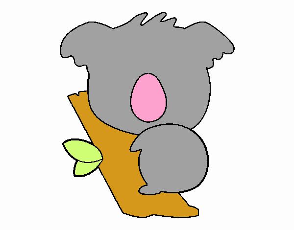 Koala bebé