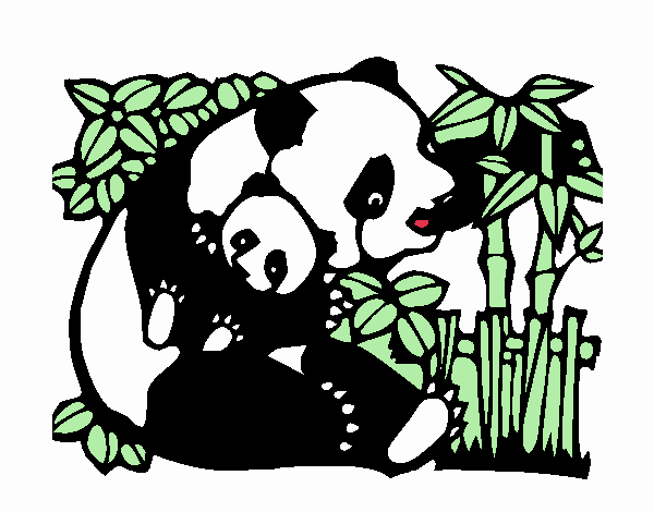 la panda mama