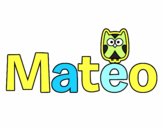 Mateo