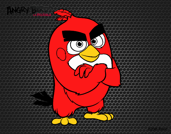 Red de Angry Birds