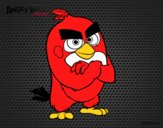 Red de Angry Birds