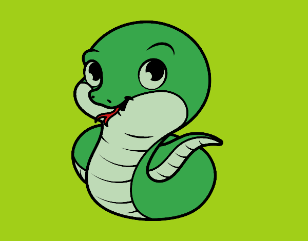 Serpiente bebé