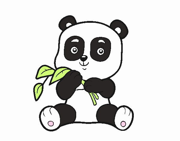 Un oso panda